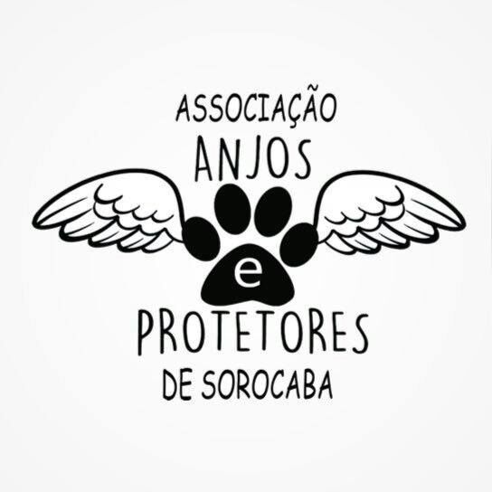 ASSOCIAÇÂO ANJOS E PROTETORES